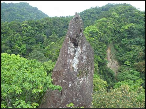 石燭尖-九龍山-峰頭尖|【石燭尖→九龍山→峰頭尖出白石腳O型】